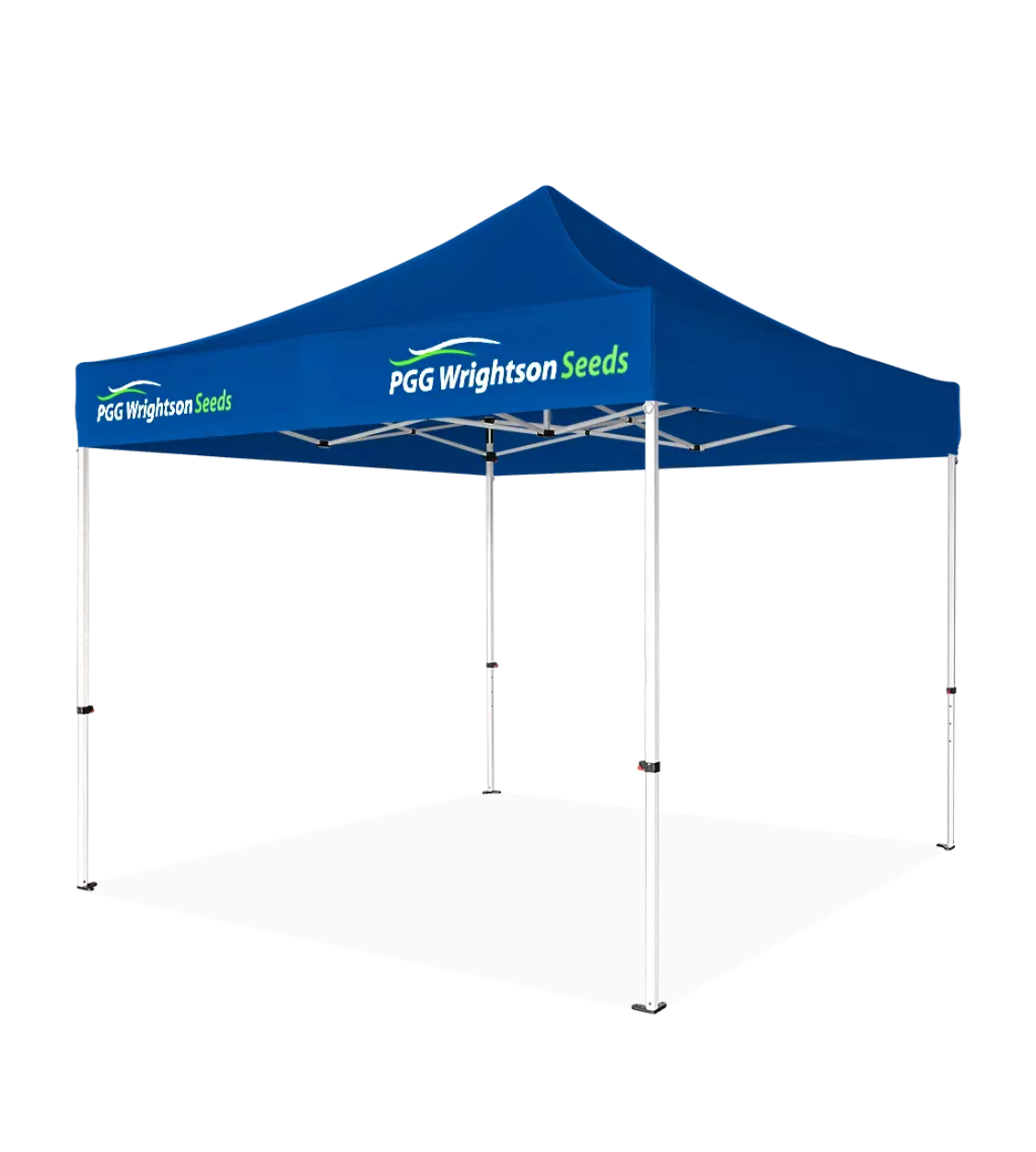 Canopy P-2