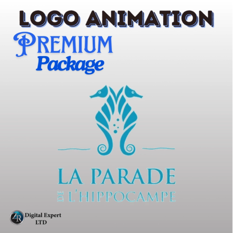 Premium Logo Animation Design Package ...